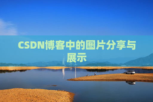 CSDN博客中的图片分享与展示